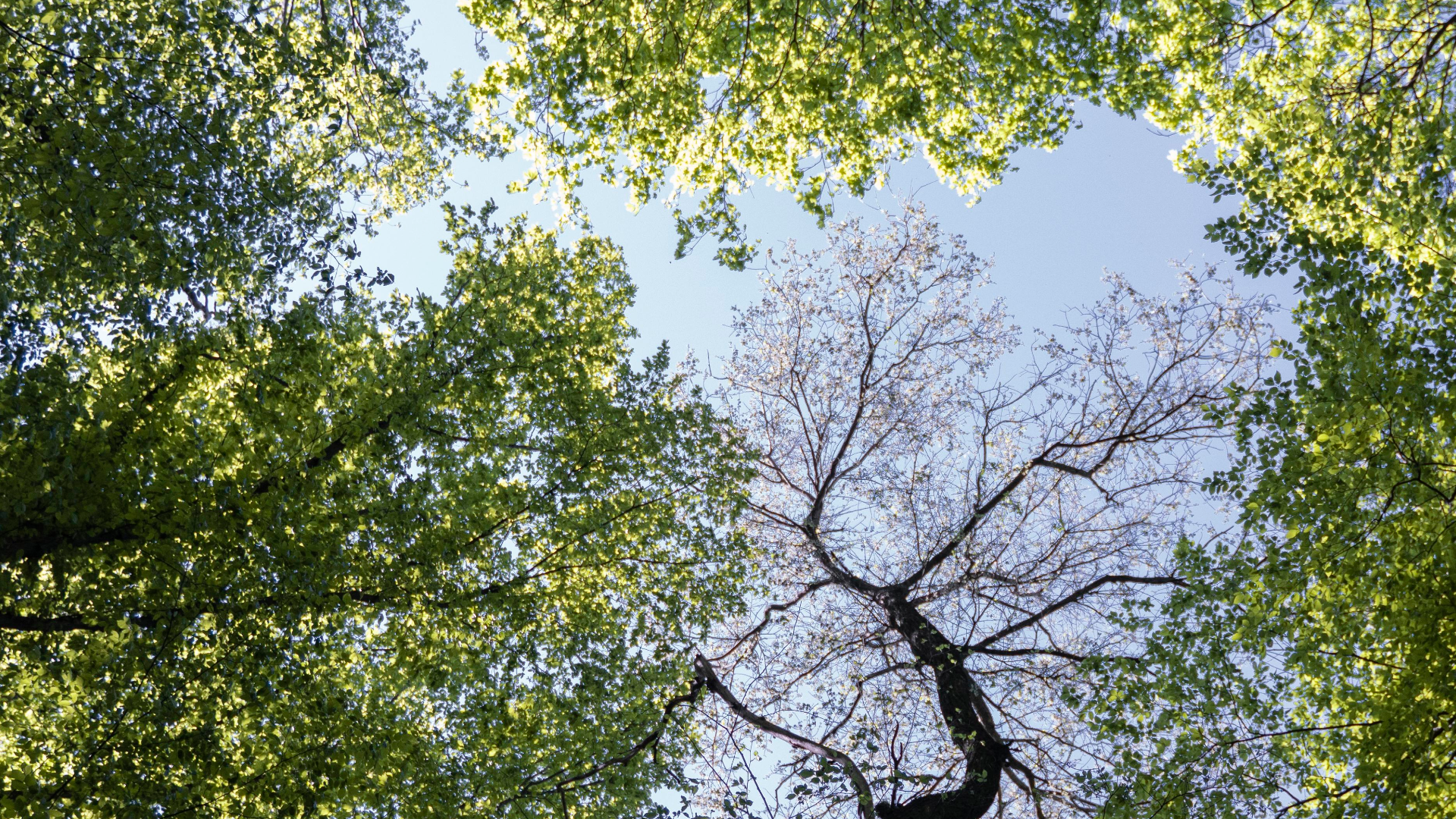 Tekohá Eco | Organización Ambiental.